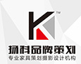 扬科品牌策划