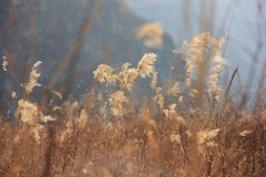 选择大于努力，慎重选择