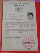 销售代表/外贸业务员