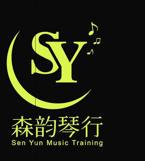 赣州经济技术开发区森韵琴行
